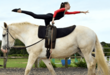 What is the history of equestrian vaulting?