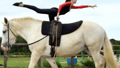 What is the history of equestrian vaulting?