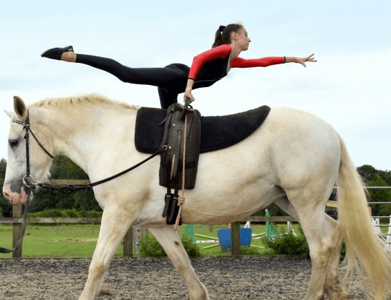 What is the history of equestrian vaulting?