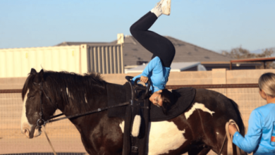 How can one train a horse for equestrian vaulting?