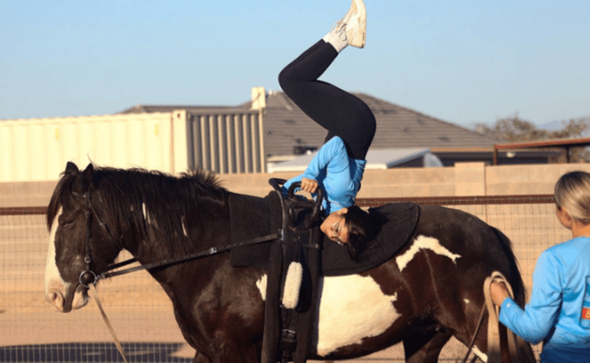 How can one train a horse for equestrian vaulting?