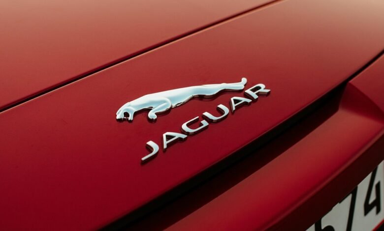 qushvolpix features and usage