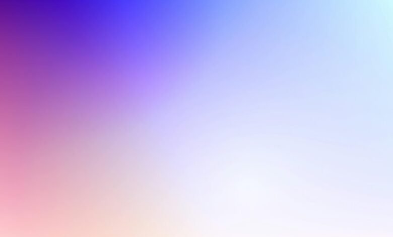 contact number information summary