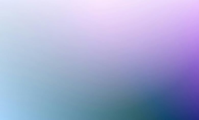 phone number verification check