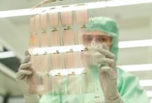 safety analysis of background