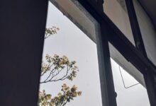 strategic business development insights