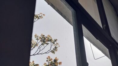 strategic business development insights