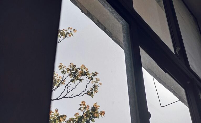 strategic business development insights