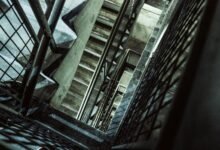 vertex beam business surge